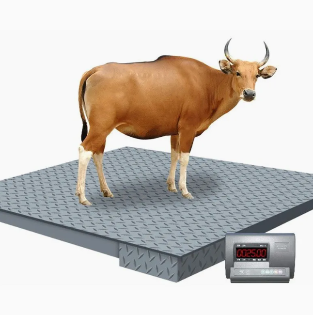 LS-1 2000kg Electronic Digital Livestock Scales for Cattle