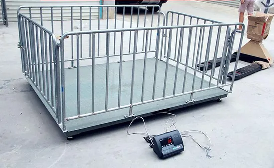 LS-1 2000kg Electronic Digital Livestock Scales for Cattle