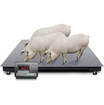 Portable Platform Floor Livestock Scales (300kg-1000kg)