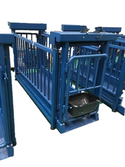Electronic Platform Livestock Scale for Cattle & Pigs